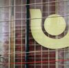 PNB Housing Finance Q1: Net profit rises 23% to ₹534 cr on strong home loan demand; AUM grows 13% to ₹82,100 cr
